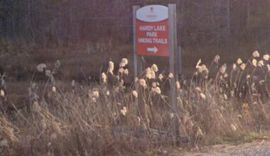 Dead body in Muskoka, Ont. identified, death ruled homicide - CTV News