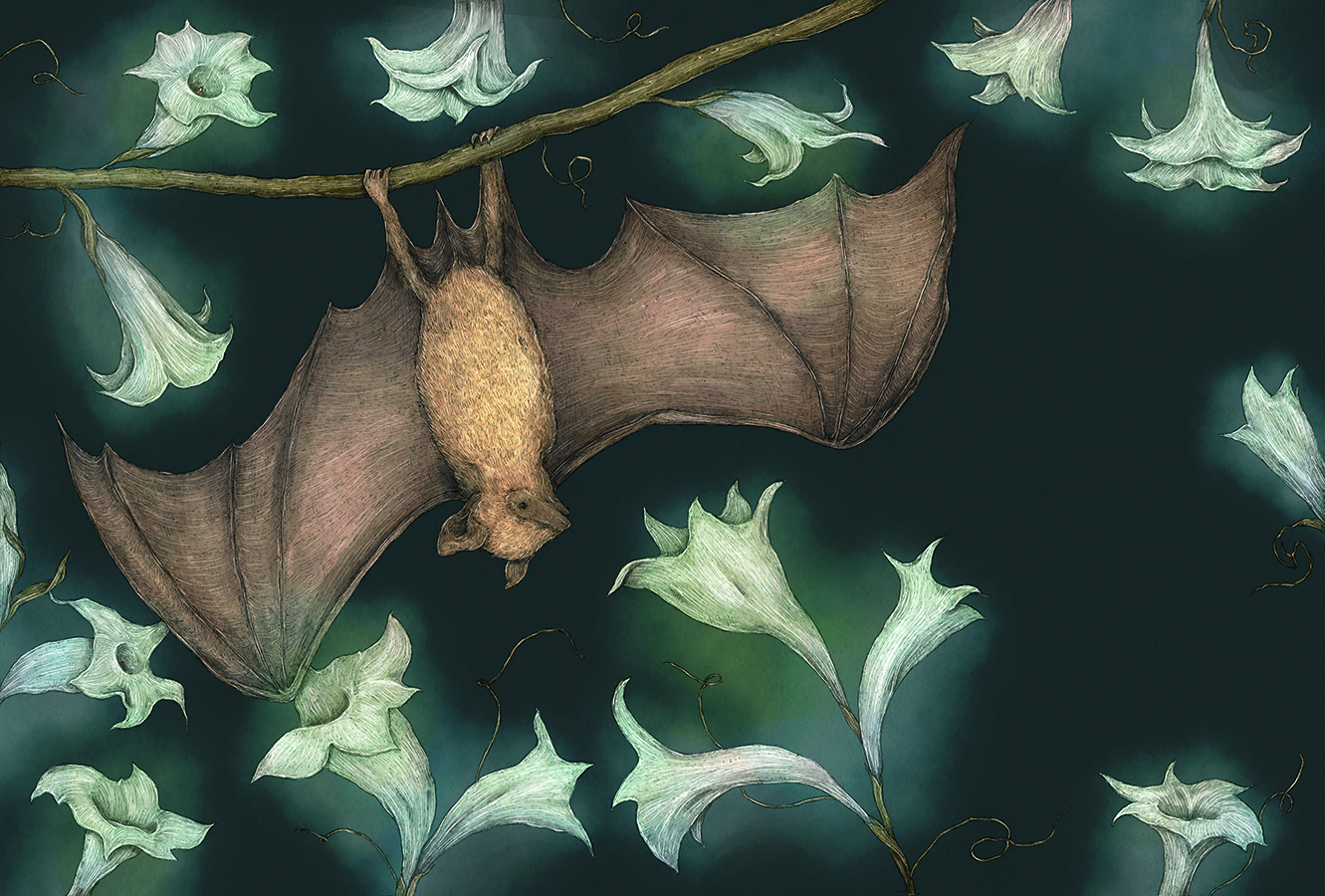Artwork showing a bat and flowers