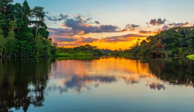 Using Reflectance Spectroscopy and Cloud Computing in Analyzing Soil