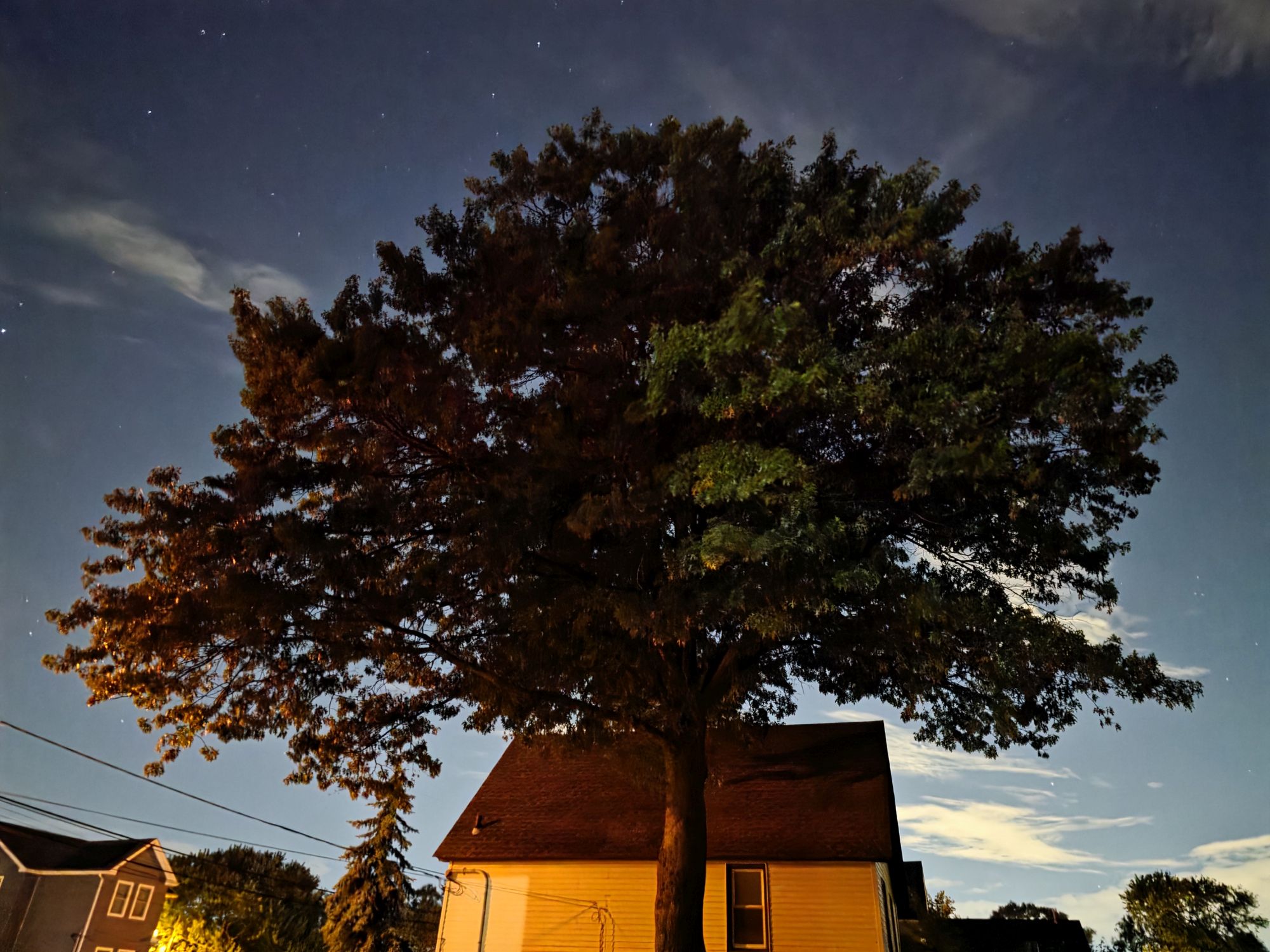 Samsung Galaxy S25 Ultra low light sample.