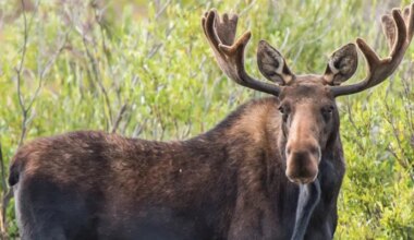 Know the Rules and Stay Safe: Hunting Season is Here