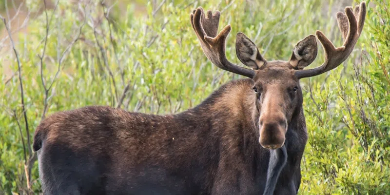 Know the Rules and Stay Safe: Hunting Season is Here