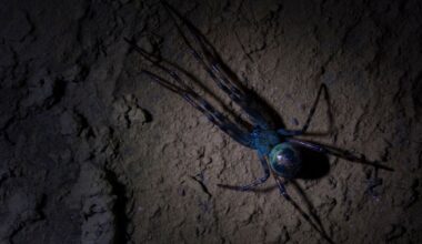 What Are Mine Spiders? The Variety Of Spooky Arachnids That Inhabit Abandoned Caves
