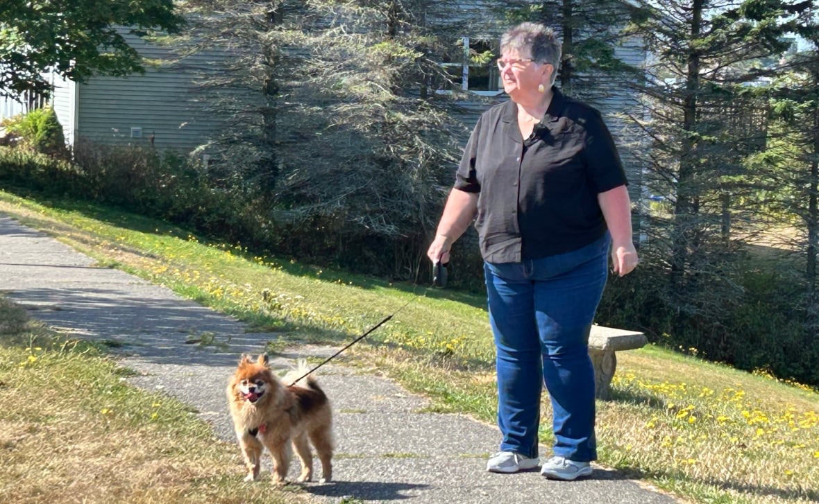 A white lady with short grey hair, she is wearing glasses with black shirt and blue jeans. She is walking a brown Pomeranian dog. 