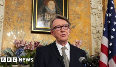 'Widespread revulsion' in Labour at Mandelson's Epstein links, says MP