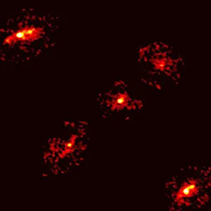 A rare cosmic configuration: An Einstein Cross with five points of light, instead of the usual four, has been discovered by scientists. Credit: P. Cox et al. – ALMA (ESO/NAOJ/NRAO)