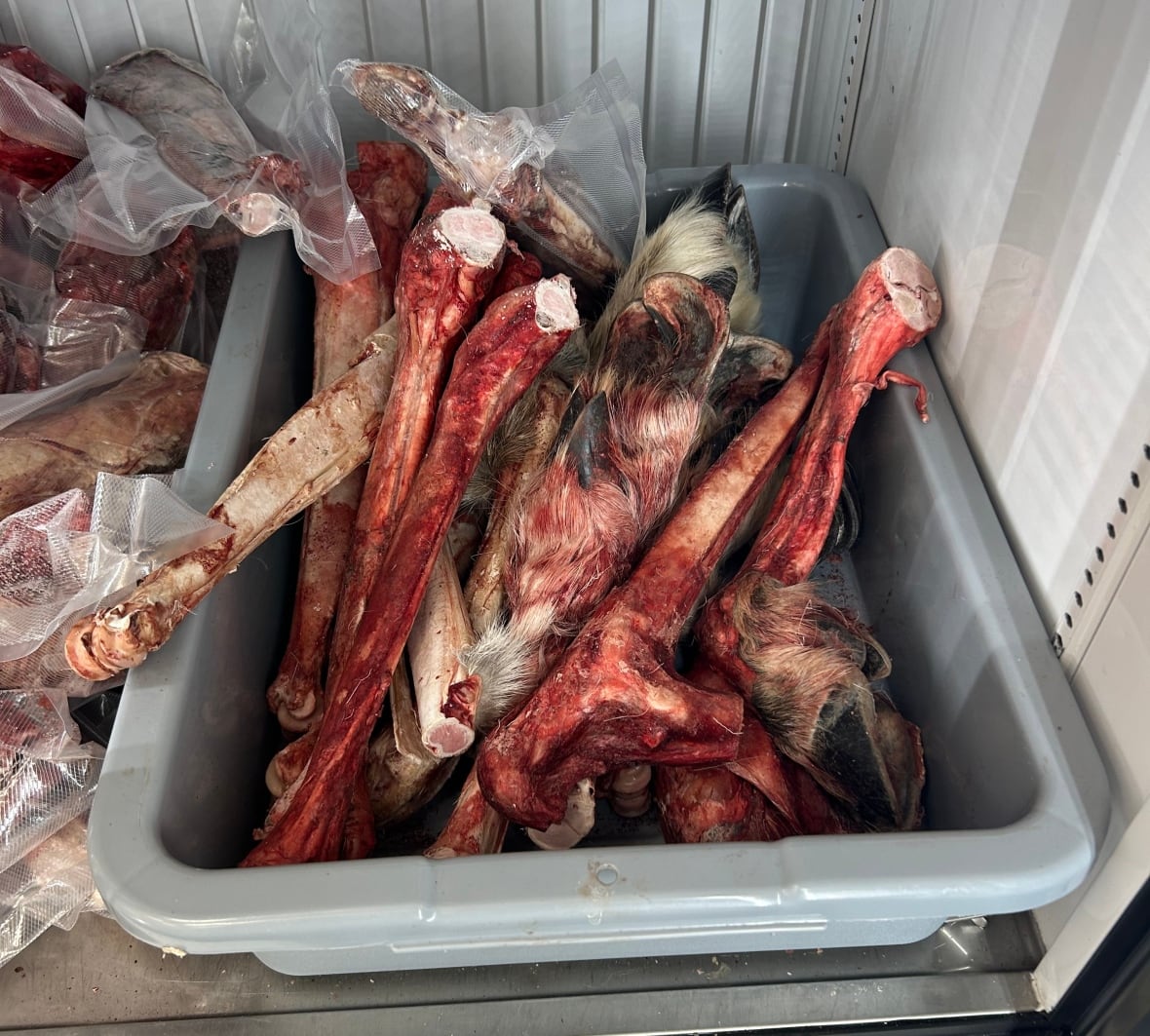 Pieces of frozen meat in large container inside freezer
