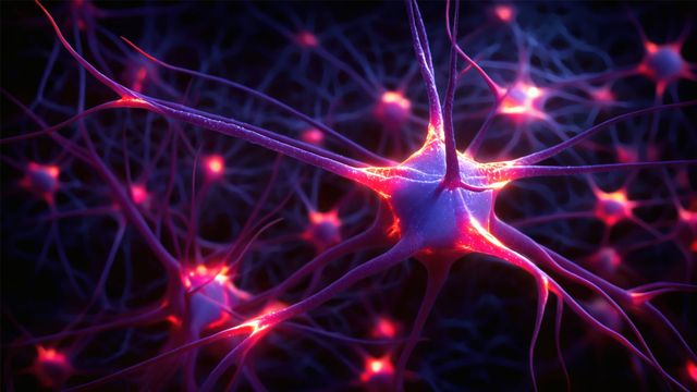 PICALM Gene Variant Disrupts Microglia in Alzheimer’s Brains