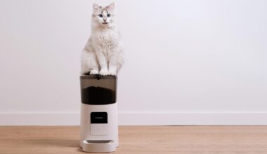 A white cat sits on top of a food dispenser on a wood floor.