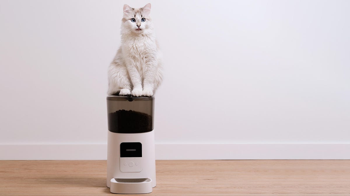 A white cat sits on top of a food dispenser on a wood floor.