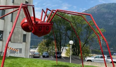 Donated sculptures installed at City Hall, Lakeside Park