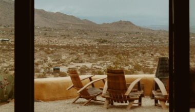 Cough Up the Pill | Los Angeles Review of Books