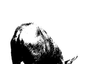 God and Sex and Money