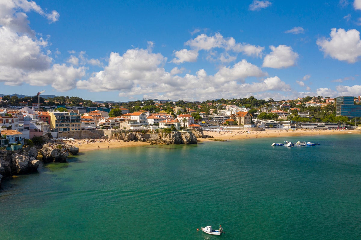 Orcas sink tourist yacht off Portugal’s coast in latest attack