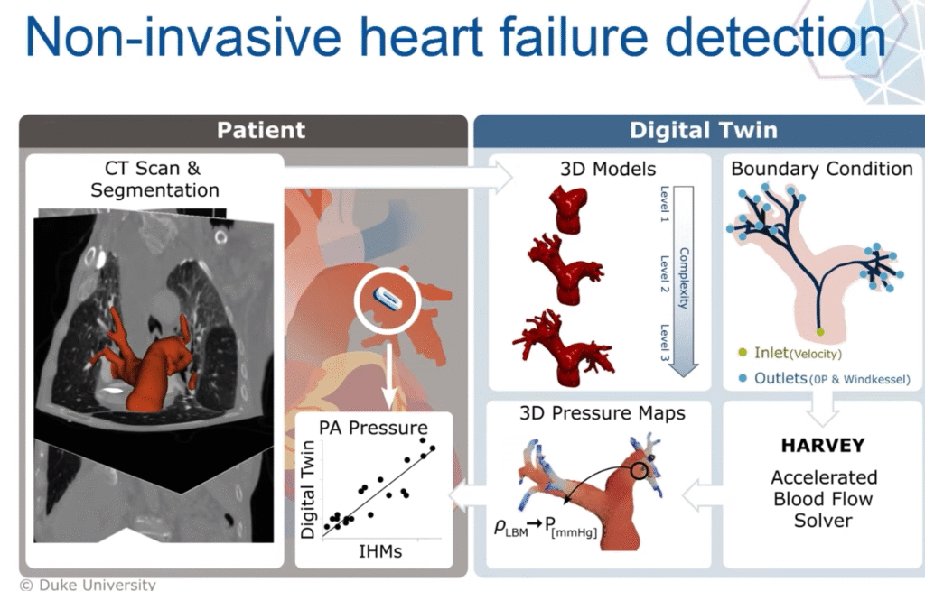 screenshot of 3D vascular models