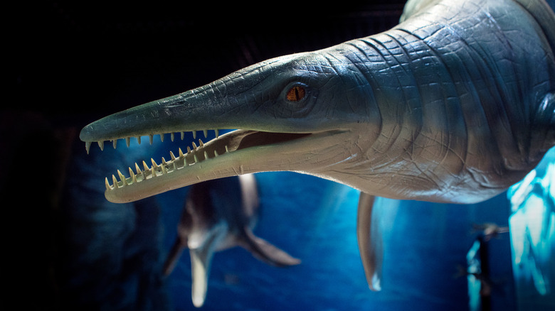 Prehistoric underwater reptile with long snout and teeth