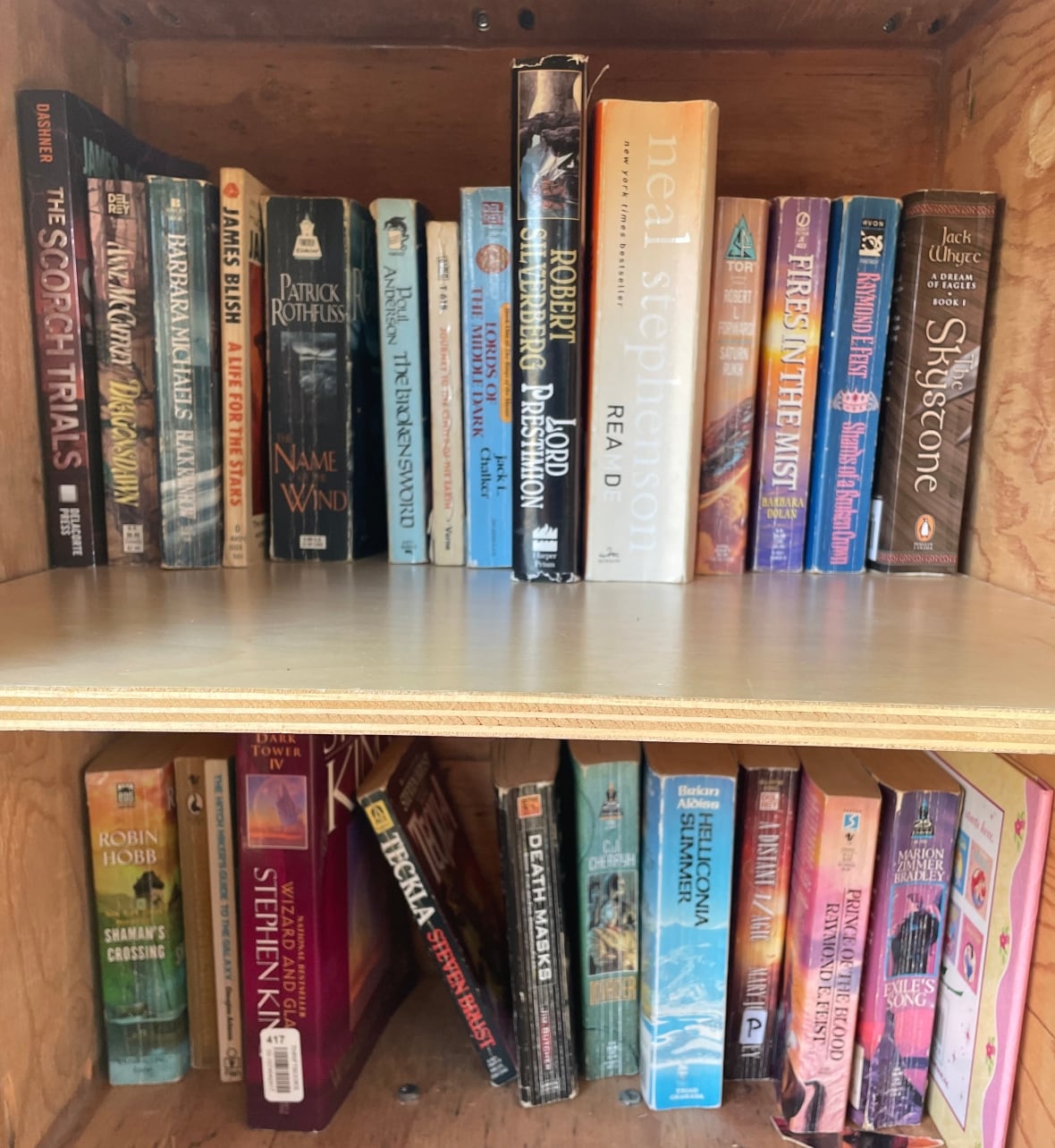 Fantasy books on two shelves.