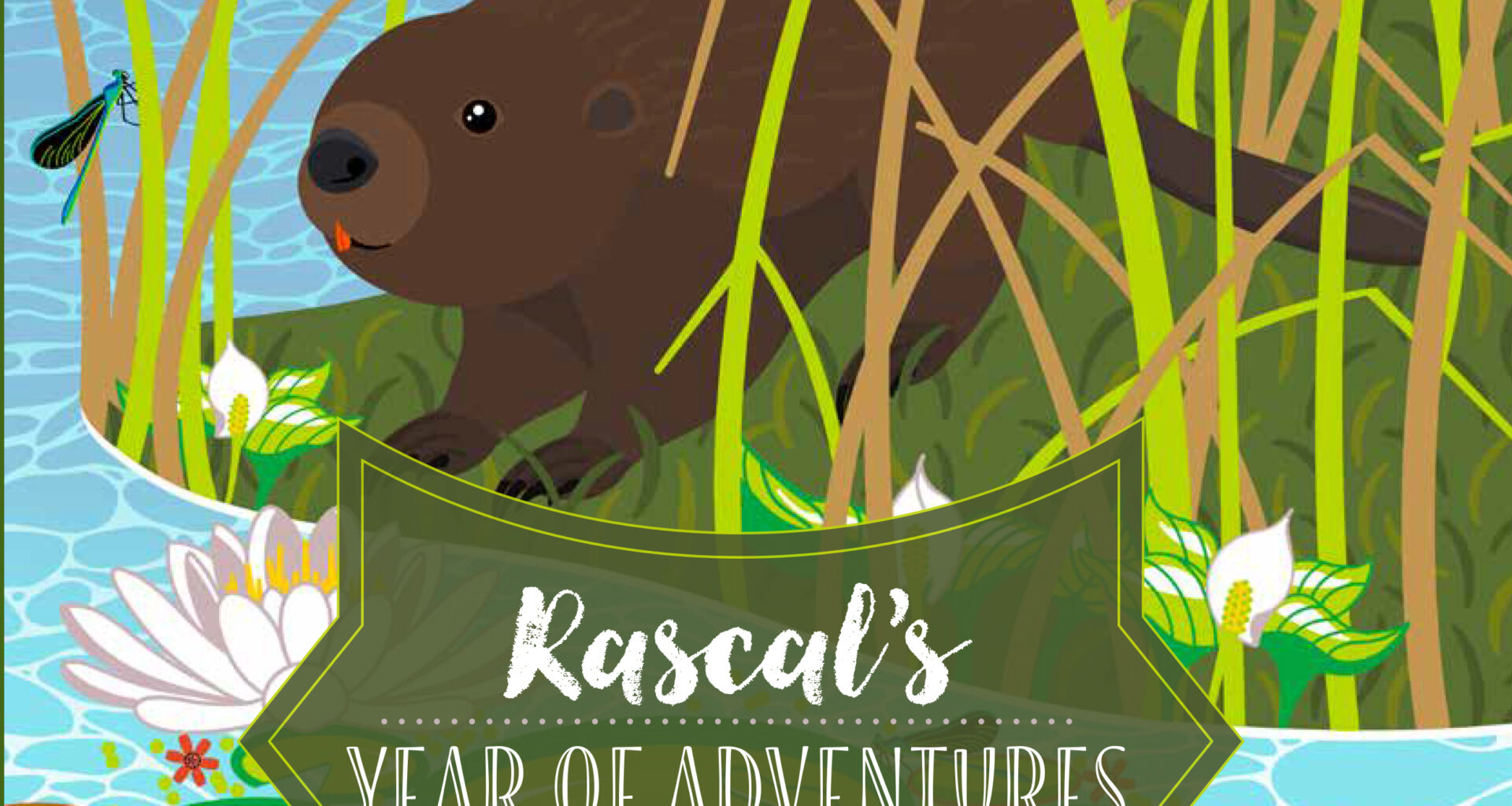 New ‘Wildlife Adventure’ book settles in a beaver lodge