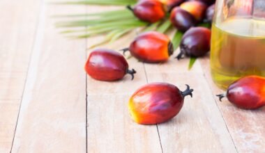 What Is Palm Oil—and Should You Avoid It? Experts Weigh In