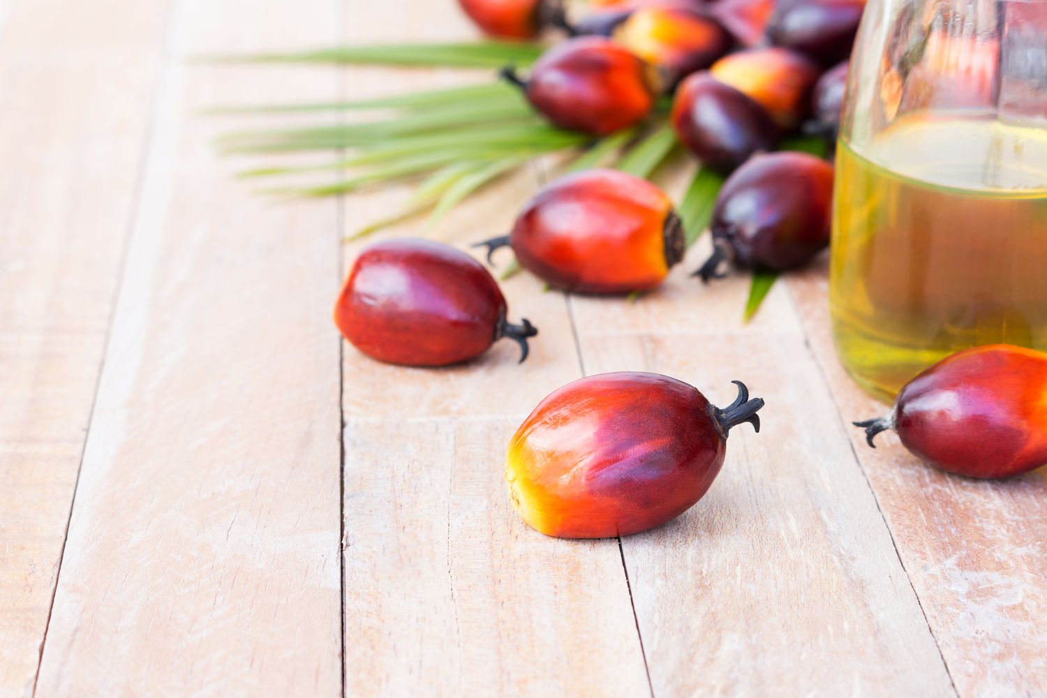 What Is Palm Oil—and Should You Avoid It? Experts Weigh In