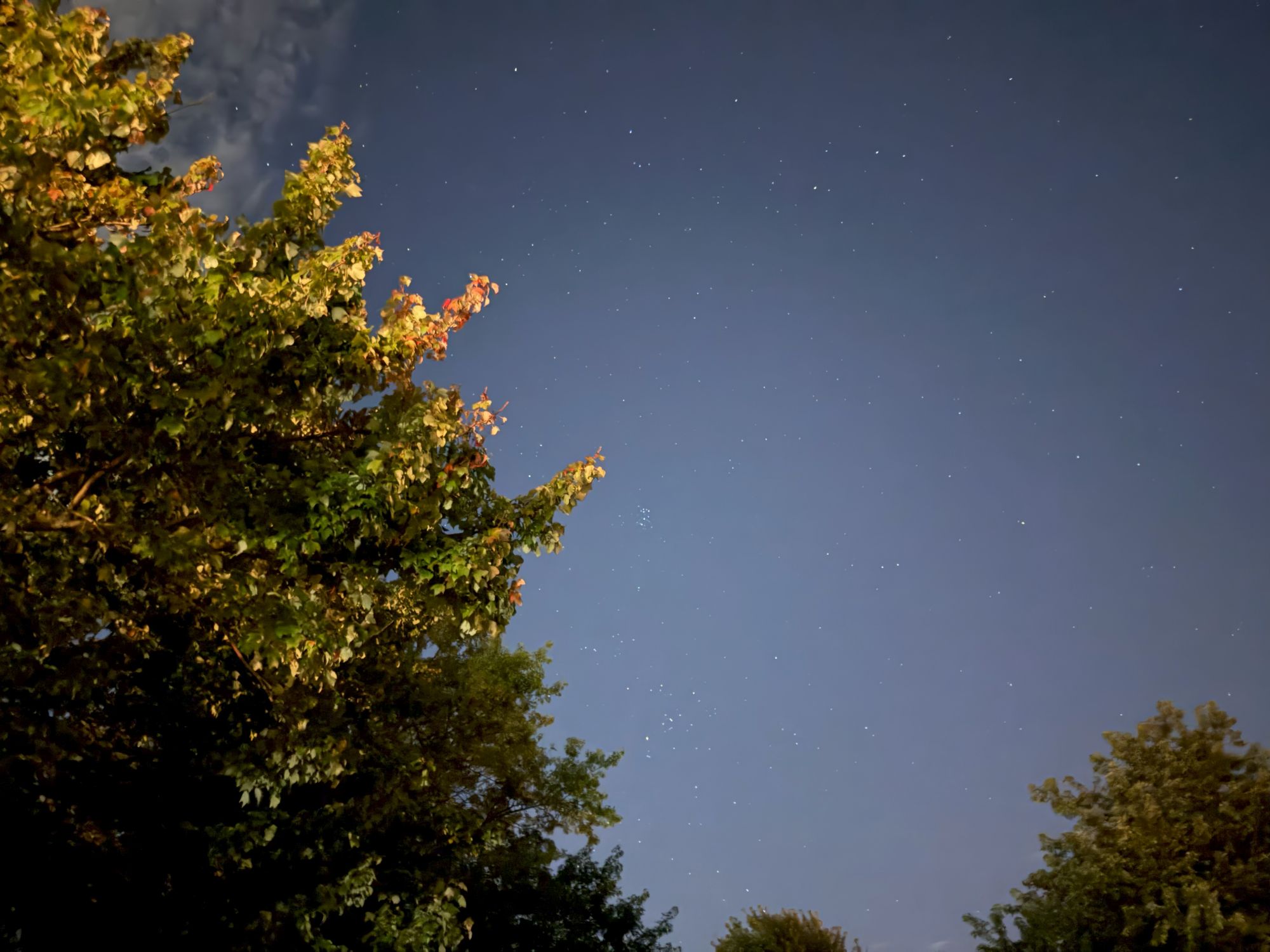 Apple iPhone 17 Pro Max low light sample.