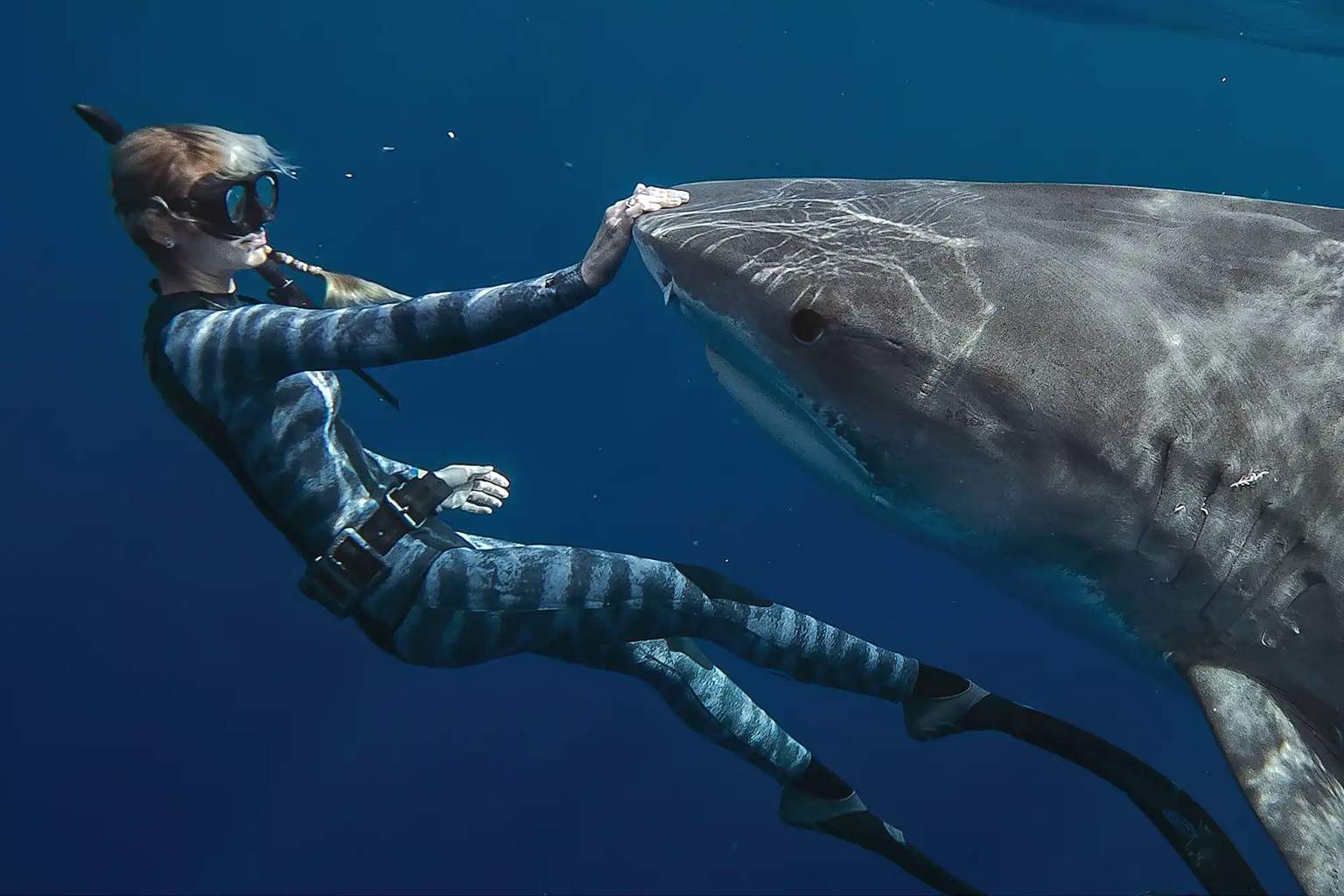 Ocean Ramsey explains what happened when she turned her back on a tiger shark