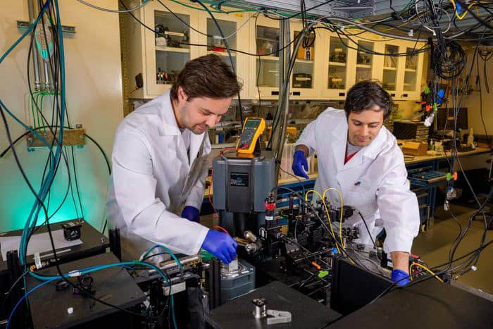 Protein qubit can be used as a quantum biosensor – Physics World