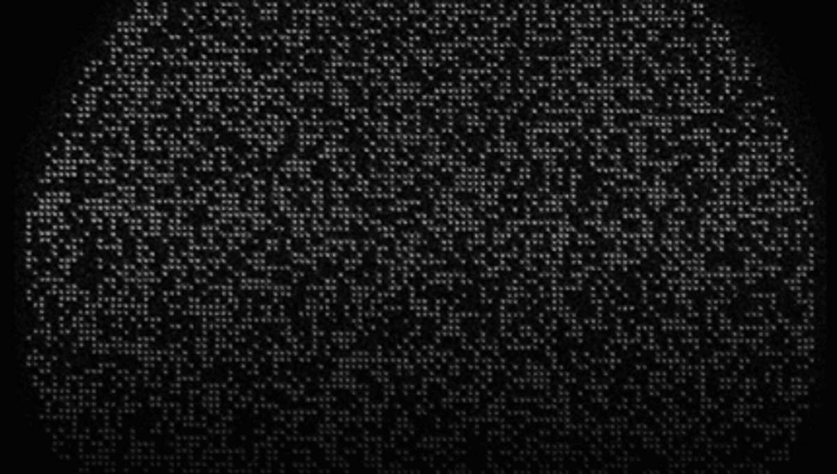 Record 6,100 Qubits Form World’s Largest Quantum Array