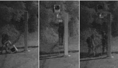 'We are prepared to help get rid of them,' Ont. government says after 16 speed cameras vandalized