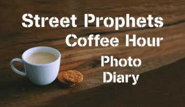 Ancient North American bison