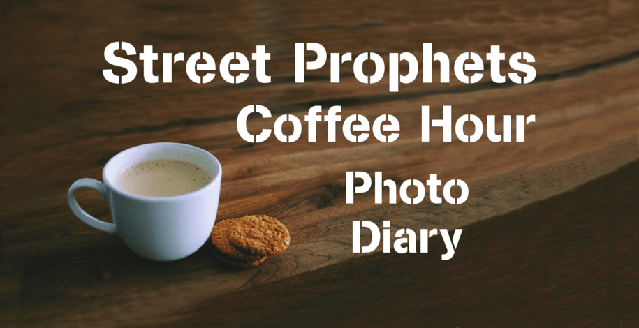 Ancient North American bison