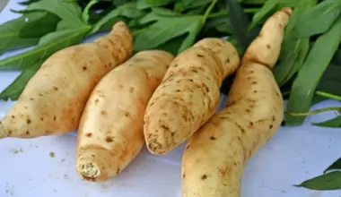The sweetpotato’s DNA turned out stranger than anyone expected