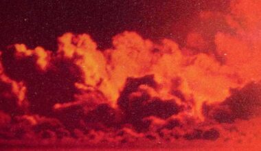 ‹ 5 Reviews You Need to Read This Week Book Marks