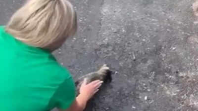 Viral video: Kentucky nurse revives baby raccoon with CPR; watch