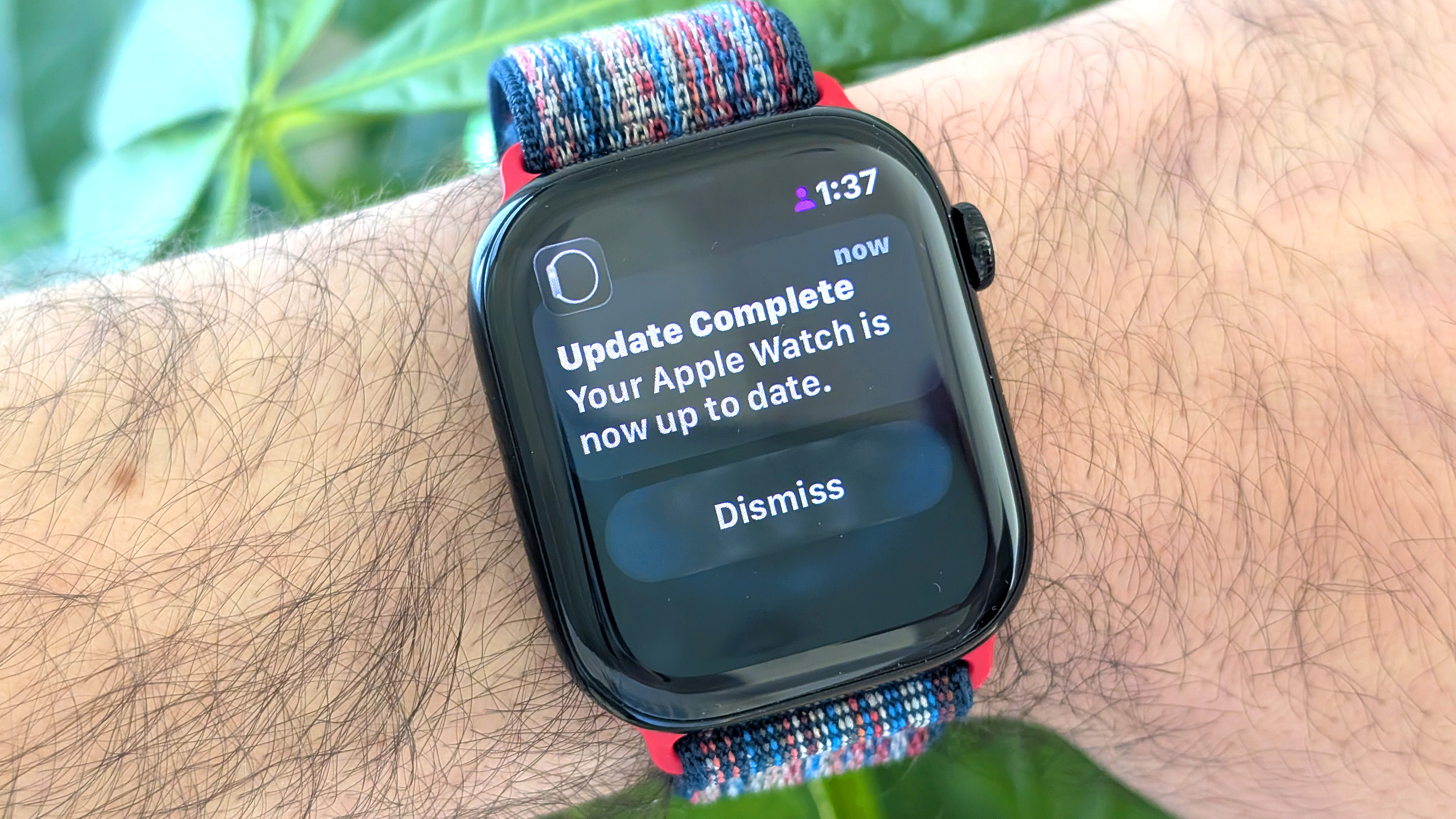 watchOS 26