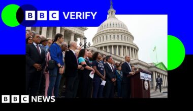 Do Democrats want free healthcare for undocumented migrants?