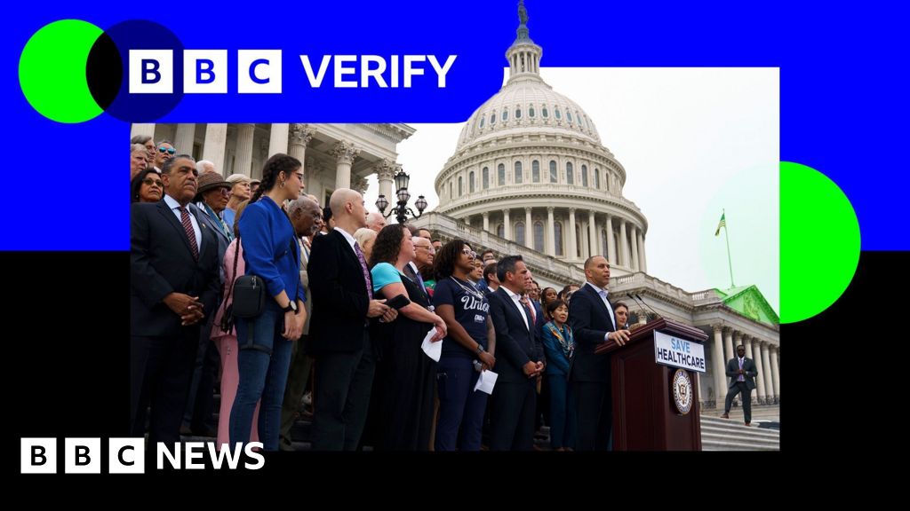 Do Democrats want free healthcare for undocumented migrants?