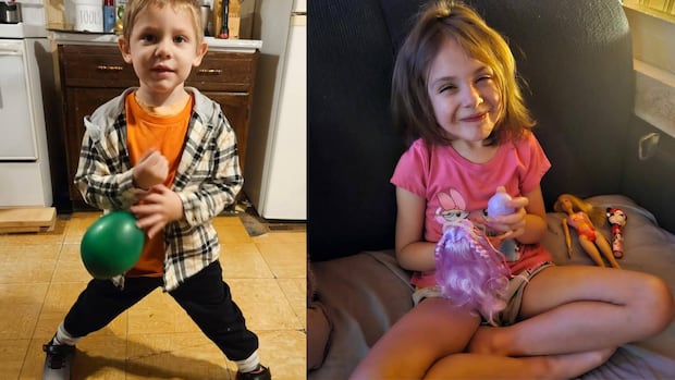 Cadaver dogs' search for Lilly and Jack Sullivan didn't find human remains