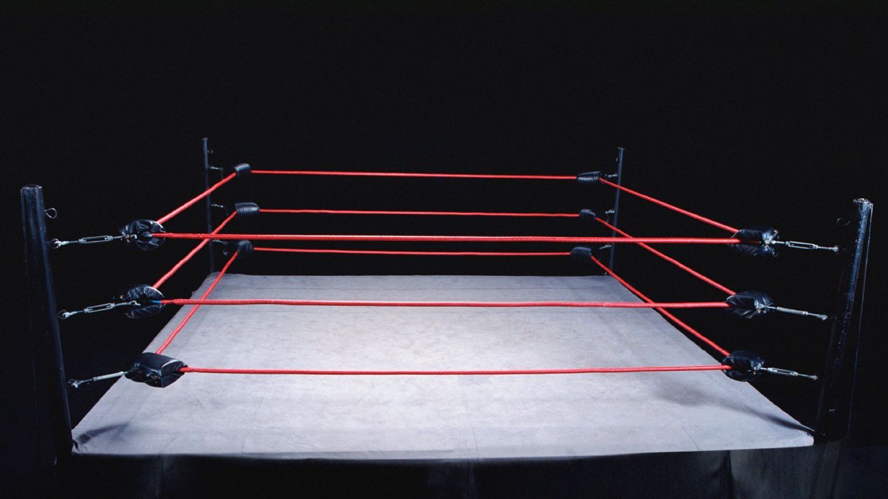 Rampage Jackson's son, Raja, facing multiple battery charges