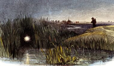 The will-o'-the-wisp's spectral glow, depicted in this detail from an engraving by Josiah Wood Whymper published in 1849's "Phenomena of Nature," now may have a scientific explanation: tiny flashes of lightning that ignite microscopic methane bubbles. - Science &amp; Society Picture Library/Getty Images