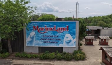Marineland’s scandalous decline | CBC Radio