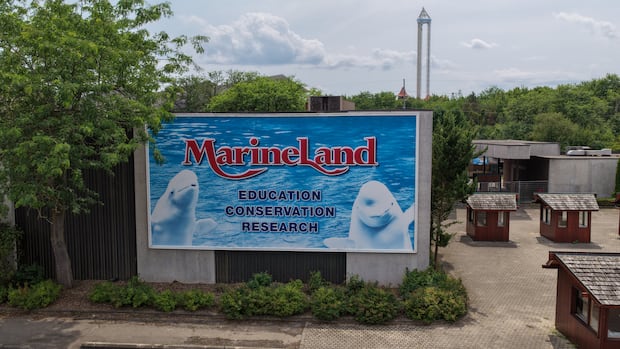 Marineland’s scandalous decline | CBC Radio