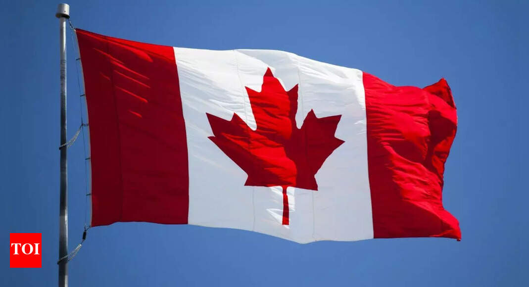 'Thinking about moving to Canada?': IRCC's new ad angers Canadians; people call it 'beyond parody'