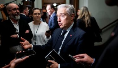 Liberals announce plan for national financial crime agency targeting online scams