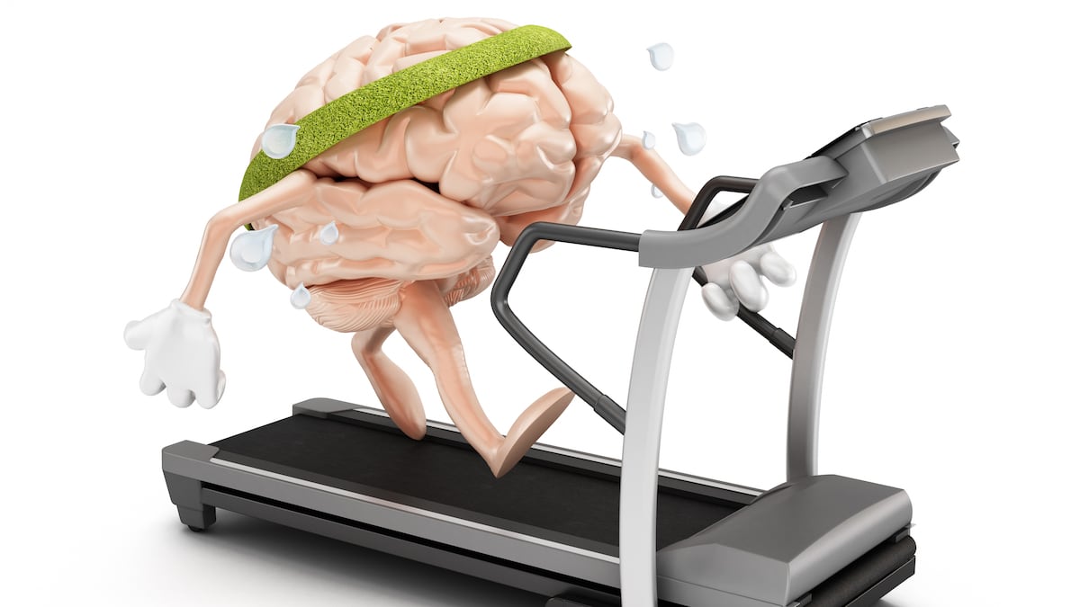 Mental exercise can reverse a brain change linked to aging, study finds