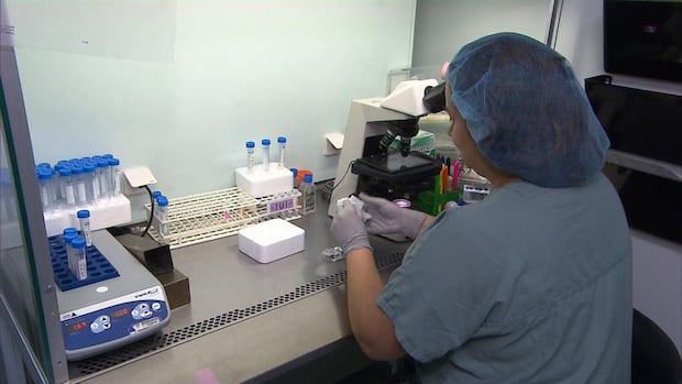 Advocates call for more local services for Islanders facing fertility challenges