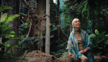 Jane Goodall’s lucid optimism - New Statesman
