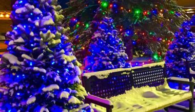 Gifts of Light enhance local healthcare & brighten Steinbach’s hospital grounds - SteinbachOnline.com