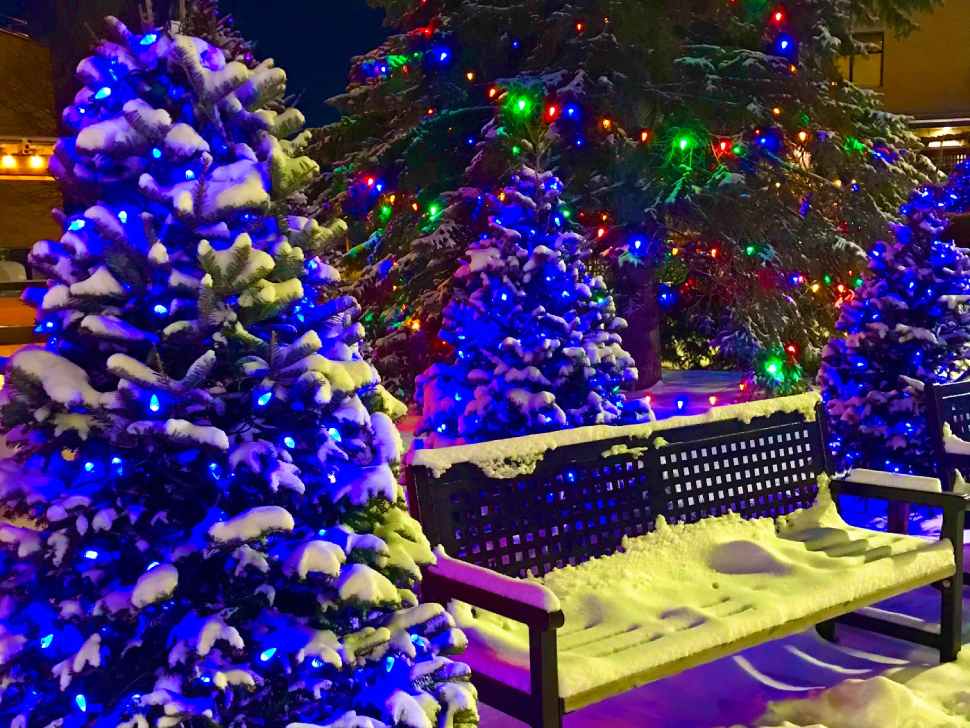 Gifts of Light enhance local healthcare & brighten Steinbach’s hospital grounds - SteinbachOnline.com