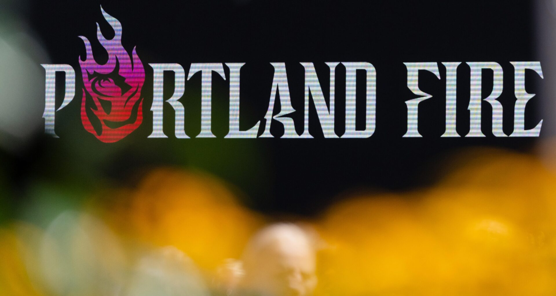 Portland Fire Reportedly Accidentally Leak Alex Sarama as HC for Inaugural WNBA Season